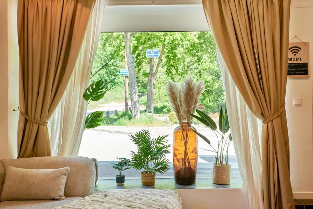 Versailles Jacuzzi - Sauna - Rdc 2 Ngoại thất bức ảnh